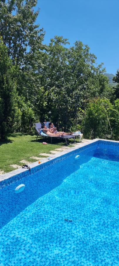Vila Elektra Tirana