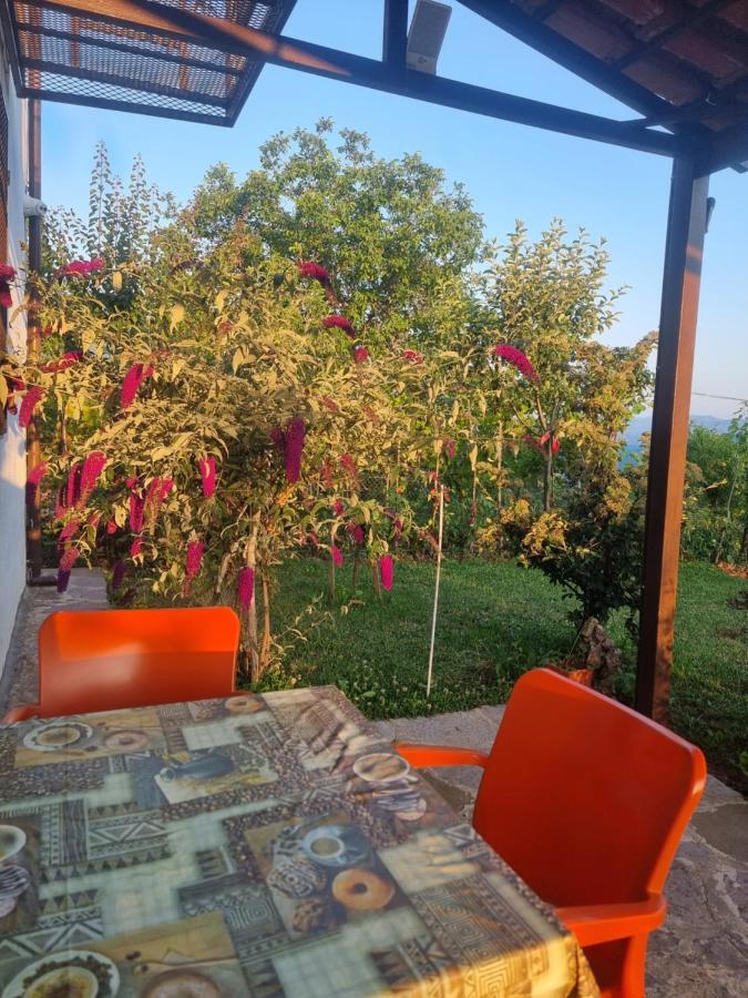 Vila Elektra Affittacamere Tirana