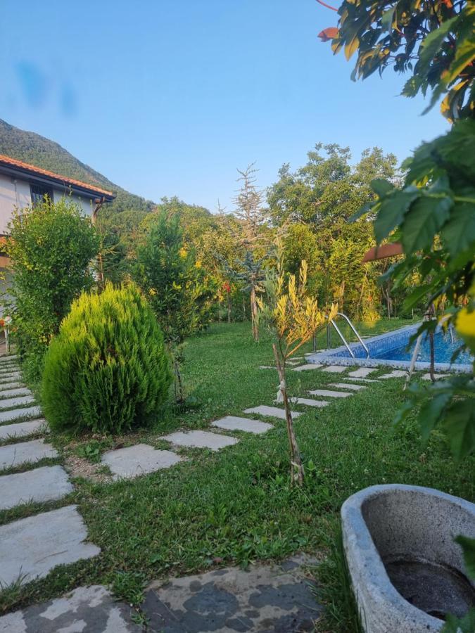 Vila Elektra Tirana