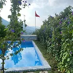 Vila Elektra