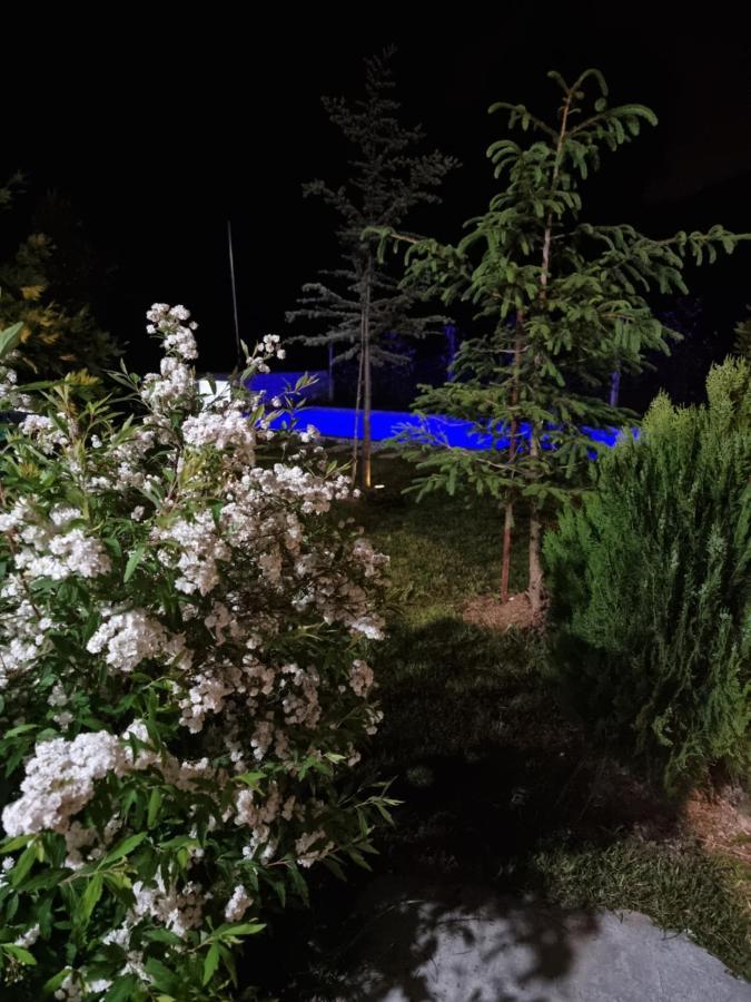 Vila Elektra Tirana