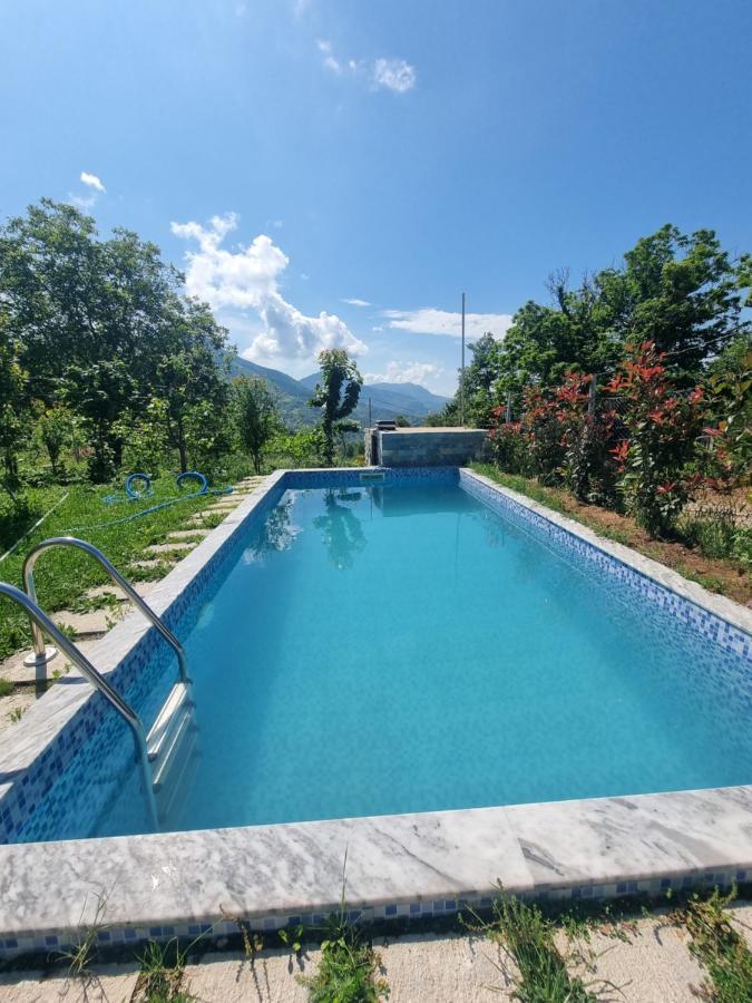 Vila Elektra Guest house Tirana