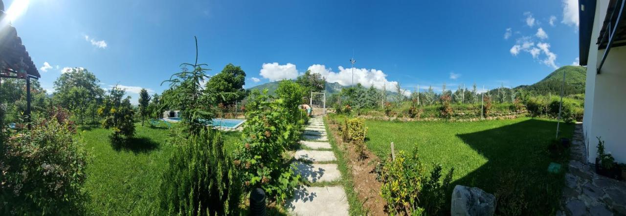 Vila Elektra Guest house