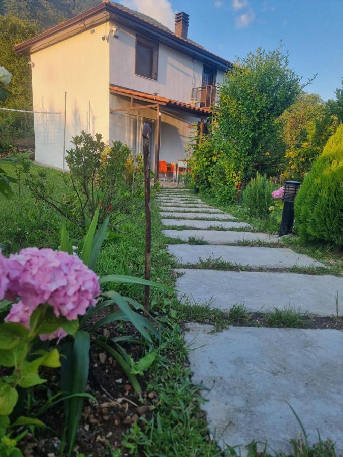 Guest house Vila Elektra Tirana