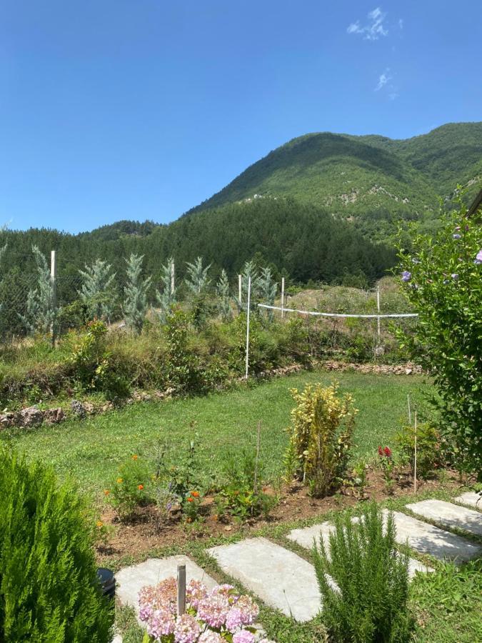 Vila Elektra Guest house *
