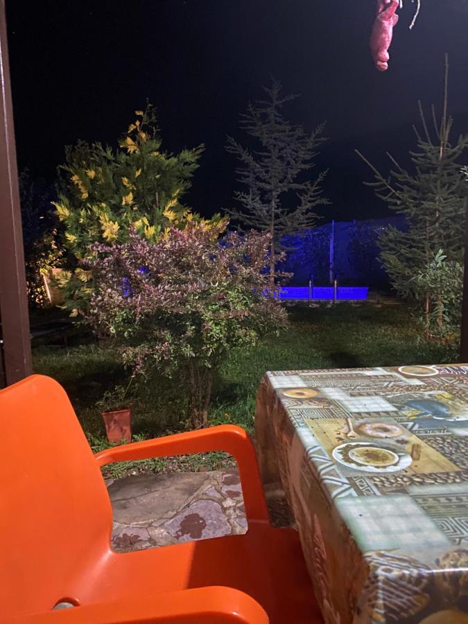 Vila Elektra Guest house