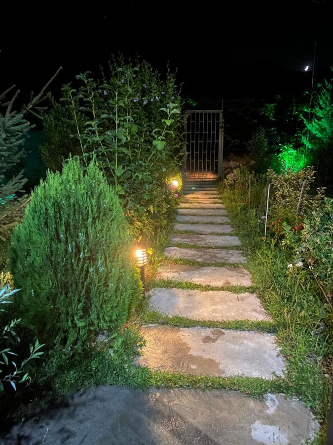 Vila Elektra Guest house *