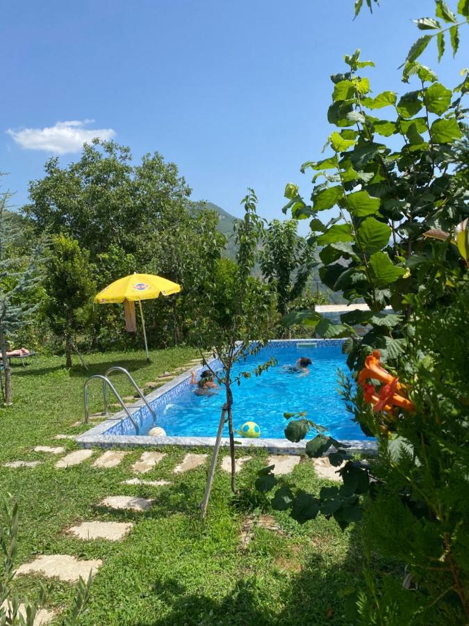 Vila Elektra