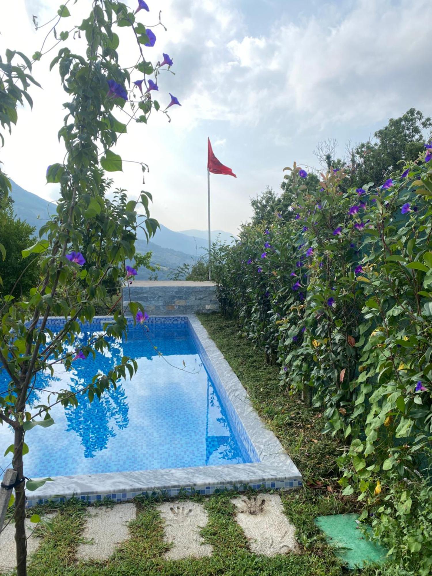 Guest house Vila Elektra *