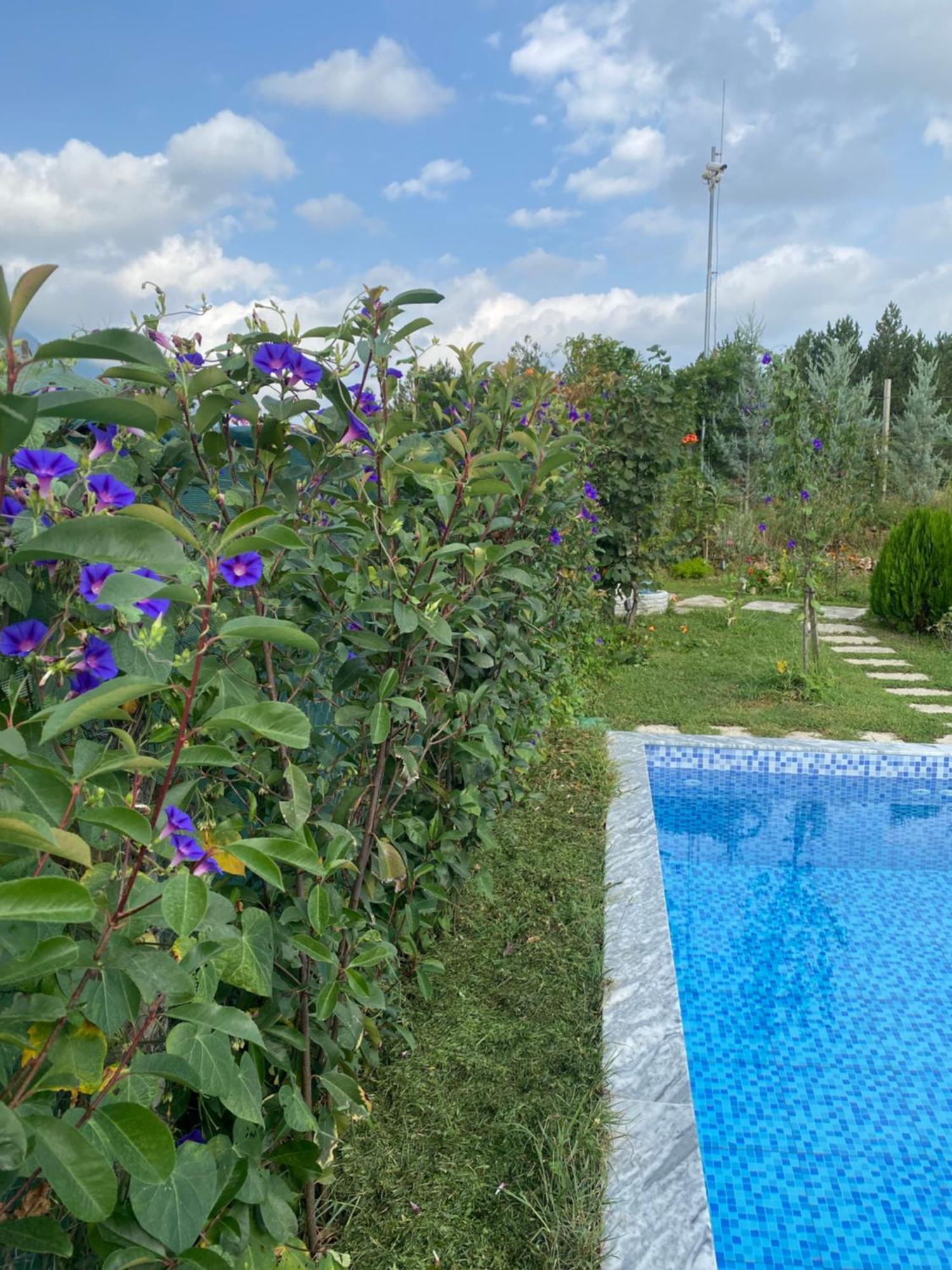 Guest house Vila Elektra *