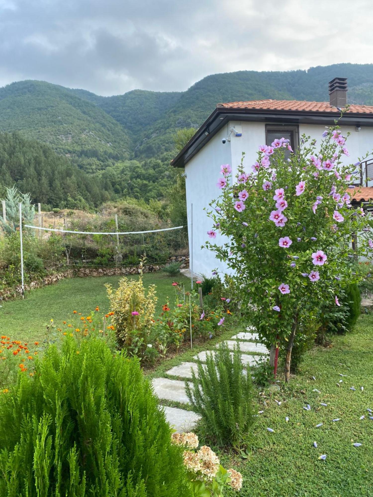 Vila Elektra Guest house