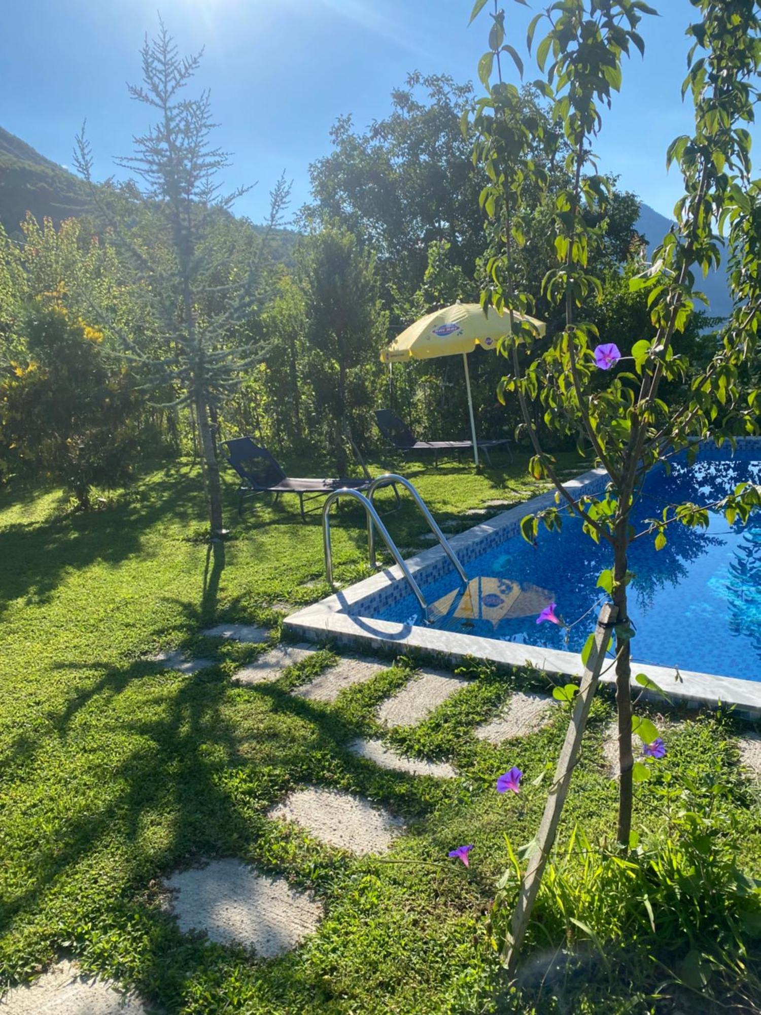 Vila Elektra *