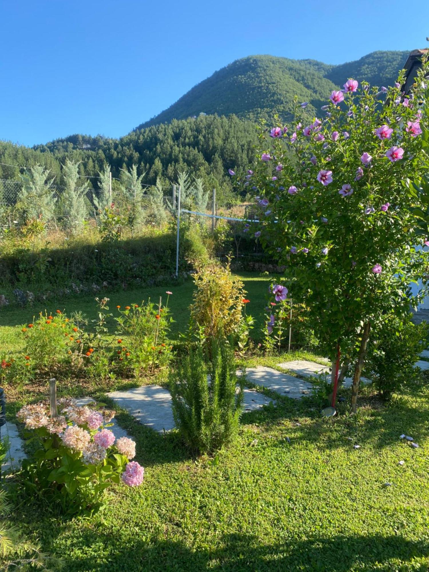 Vila Elektra Guest house